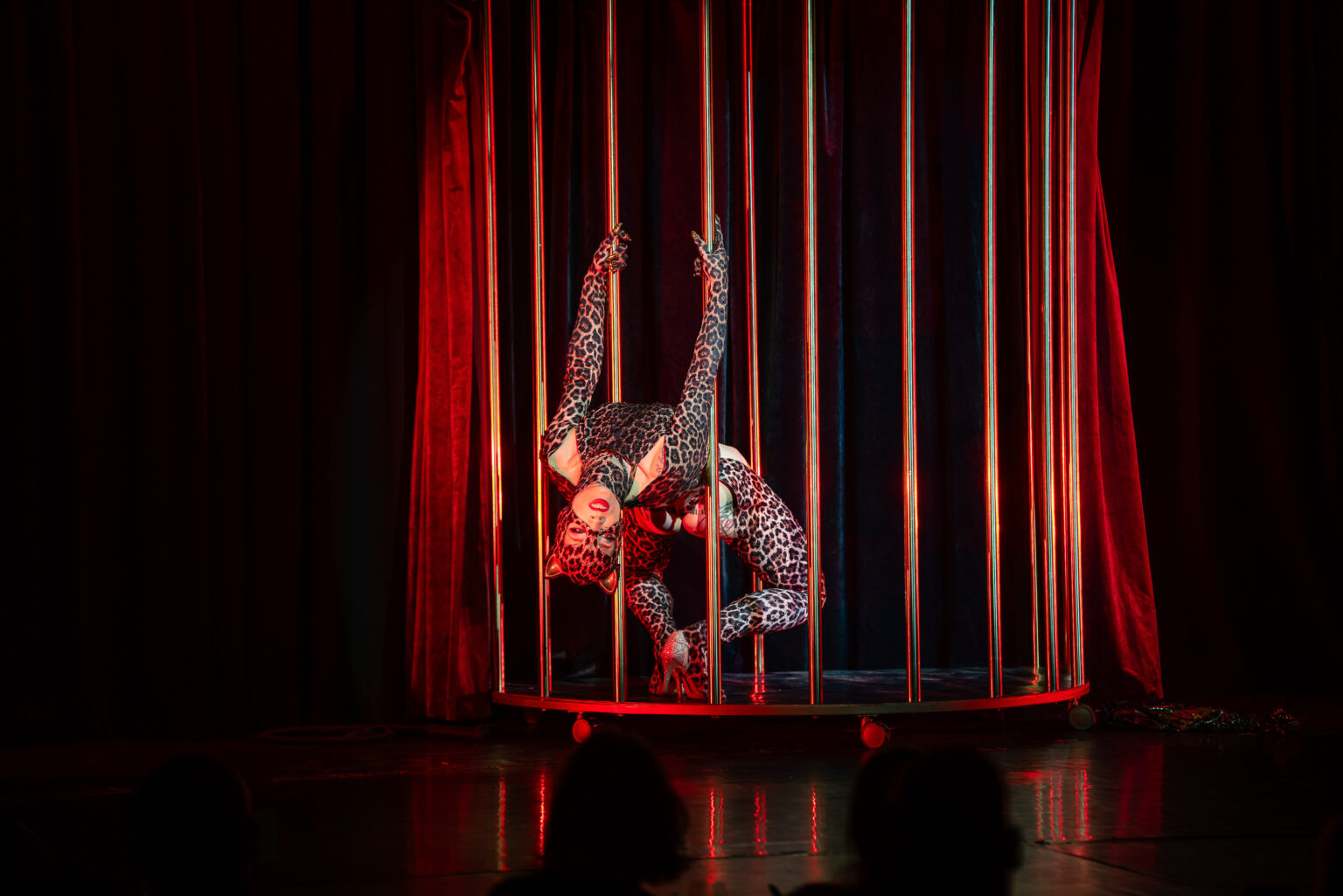 Circus-0141_MarkVoelker_A7R07235 (1)